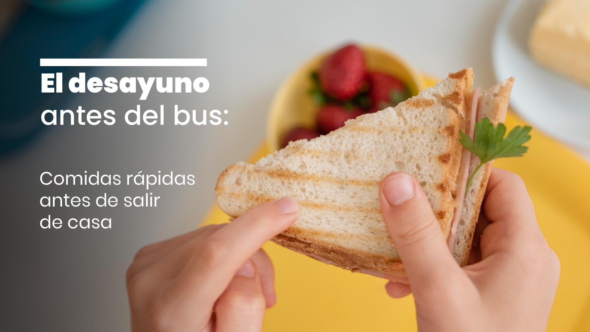 El desayuno antes del bus: comidas rápidas antes de salir de casa